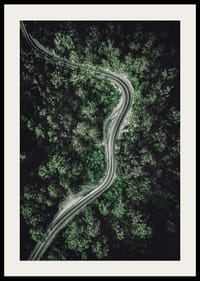 Luftfoto af snoet vej gennem tæt grøn skov, fotografisk-2