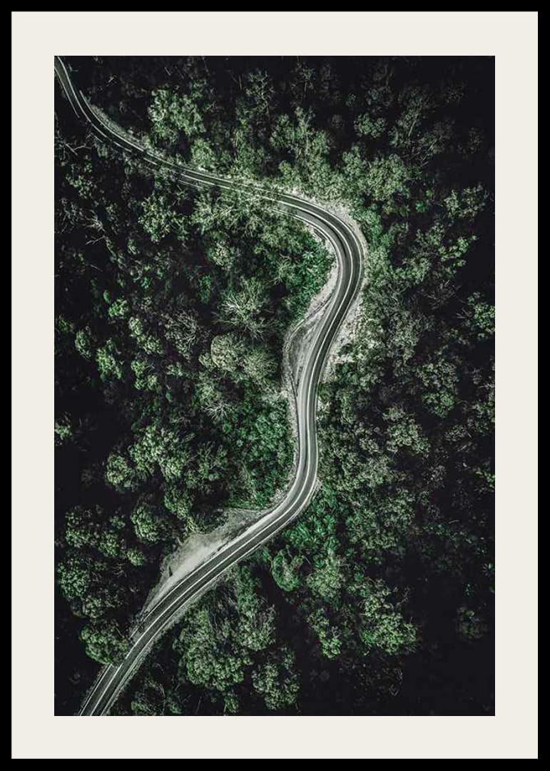 Luftfoto af snoet vej gennem tæt grøn skov, fotografisk-12