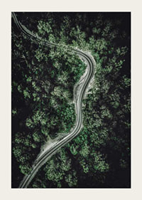 Aerial view of winding road through dense green forest, photographic-3
