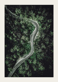 Luftfoto af snoet vej gennem tæt grøn skov, fotografisk-3