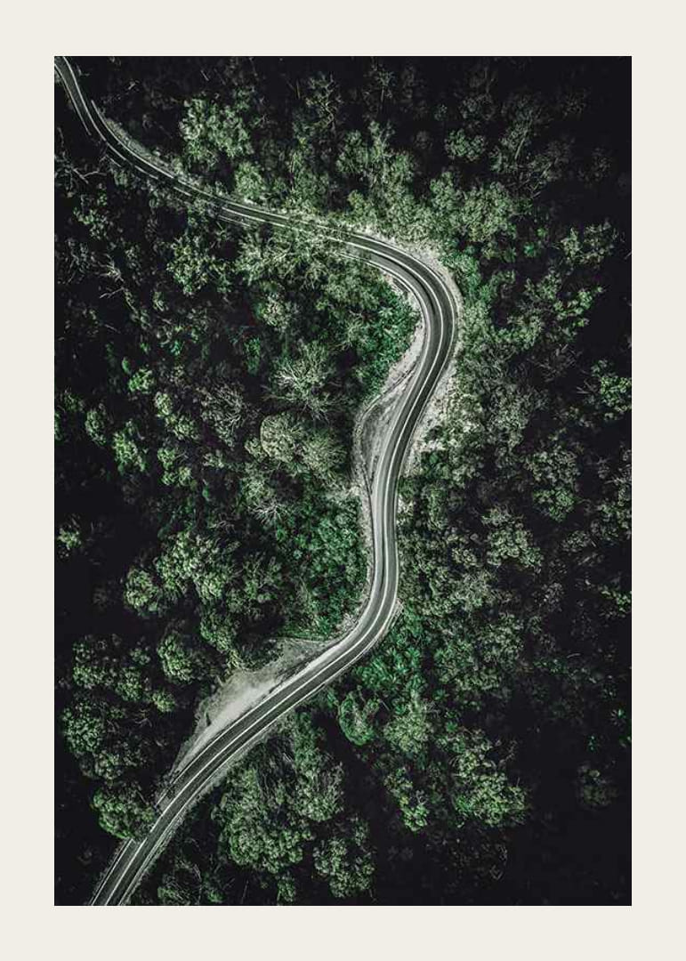 Luftfoto af snoet vej gennem tæt grøn skov, fotografisk-12