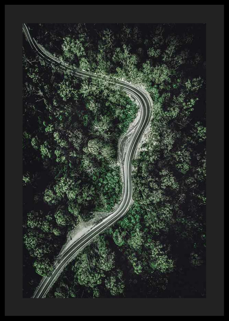 Luftfoto af snoet vej gennem tæt grøn skov, fotografisk-12