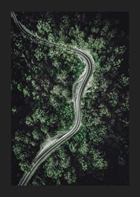 Aerial view of winding road through dense green forest, photographic-5