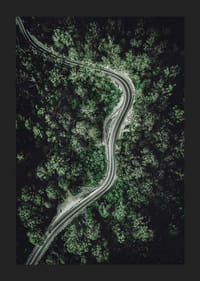 Luftfoto af snoet vej gennem tæt grøn skov, fotografisk-5