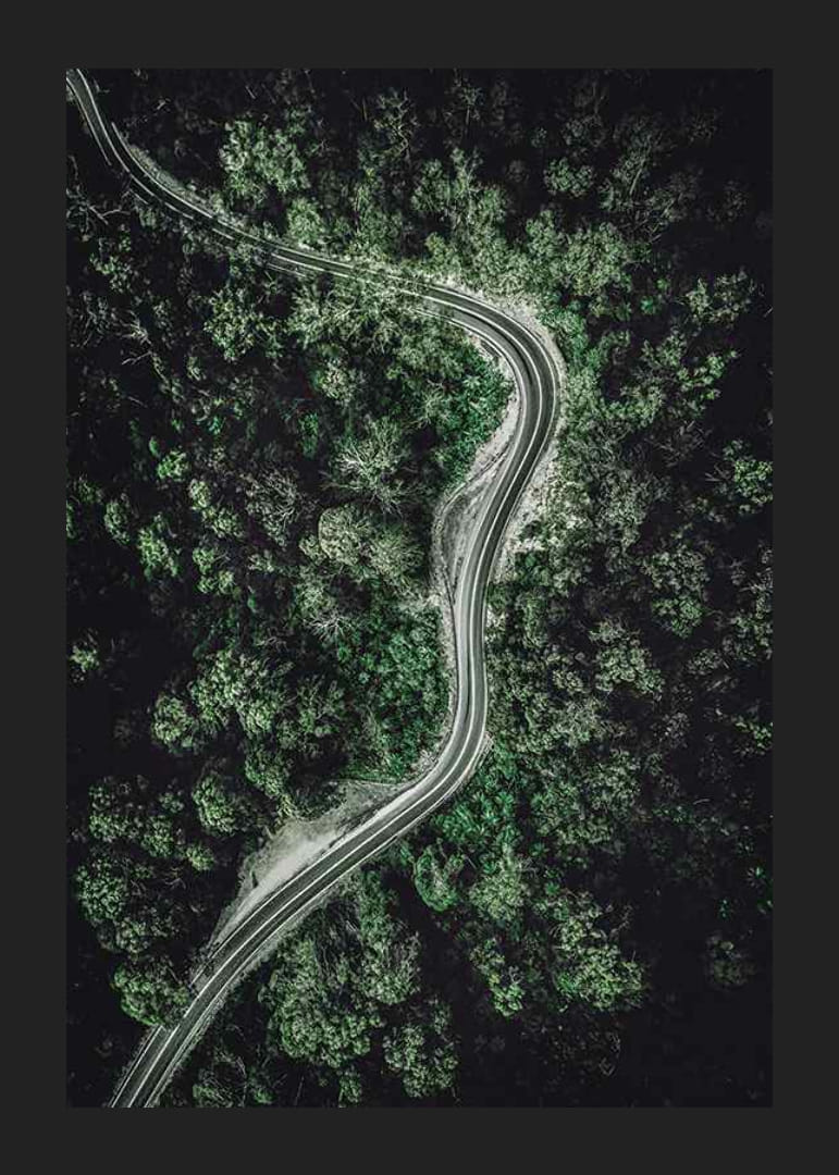 Luftfoto af snoet vej gennem tæt grøn skov, fotografisk-12