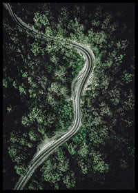 Aerial view of winding road through dense green forest, photographic-6