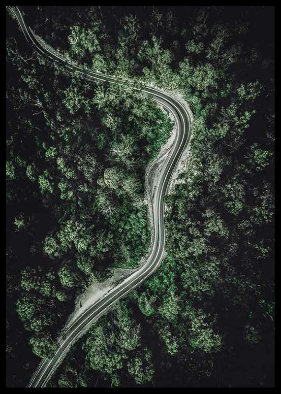 Aerial view of winding road through dense green forest, photographic-12