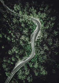 Aerial view of winding road through dense green forest, photographic-7