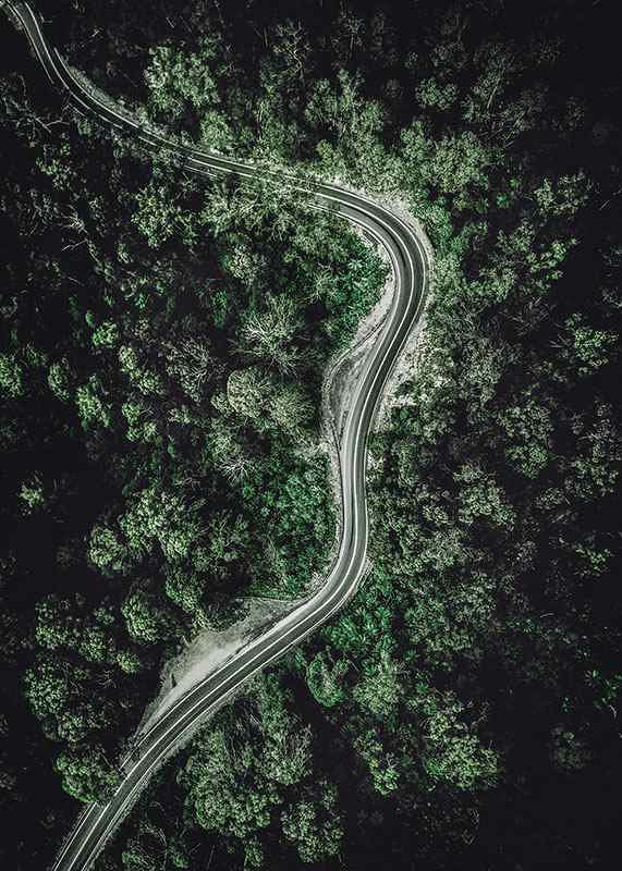 Aerial view of winding road through dense green forest, photographic-12