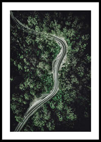 Aerial view of winding road through dense green forest, photographic-0