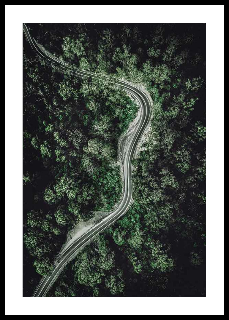 Aerial view of winding road through dense green forest, photographic-12