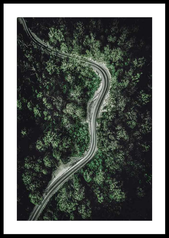 Forest Road-12