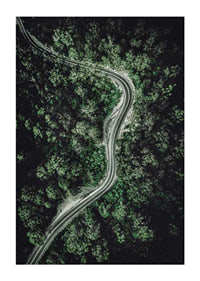 Aerial view of winding road through dense green forest, photographic-1
