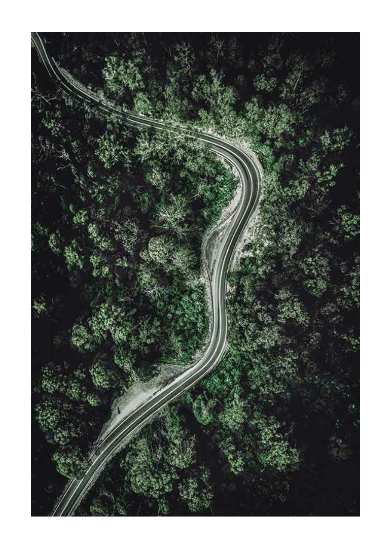 Aerial view of winding road through dense green forest, photographic-12
