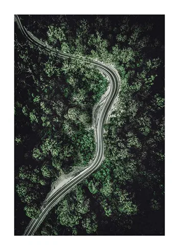 Poster Forest Road