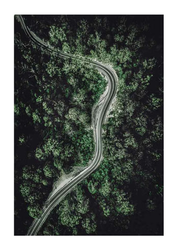 Plagát Forest Road