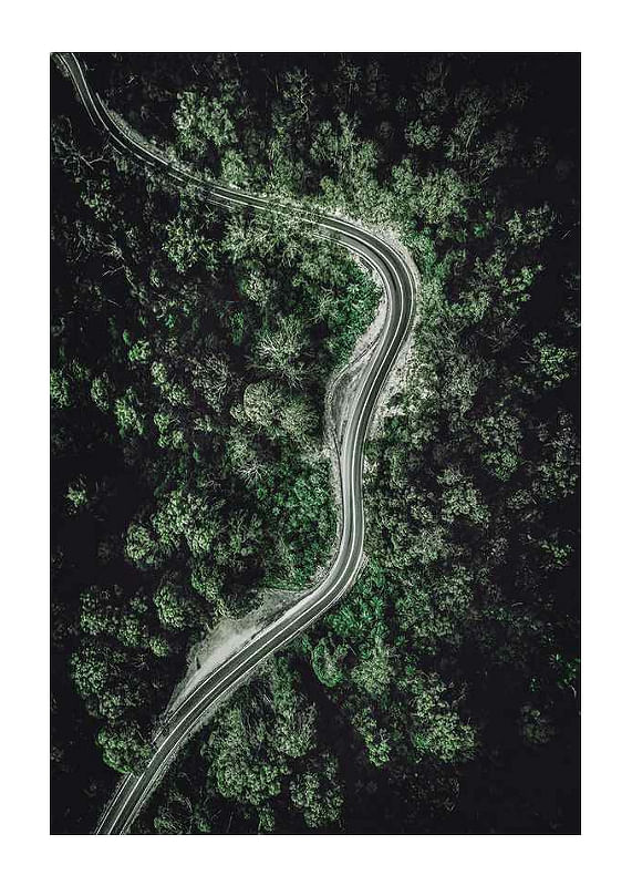 Plagát Forest Road