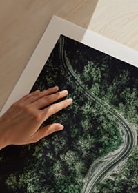 Aerial view of winding road through dense green forest, photographic-9