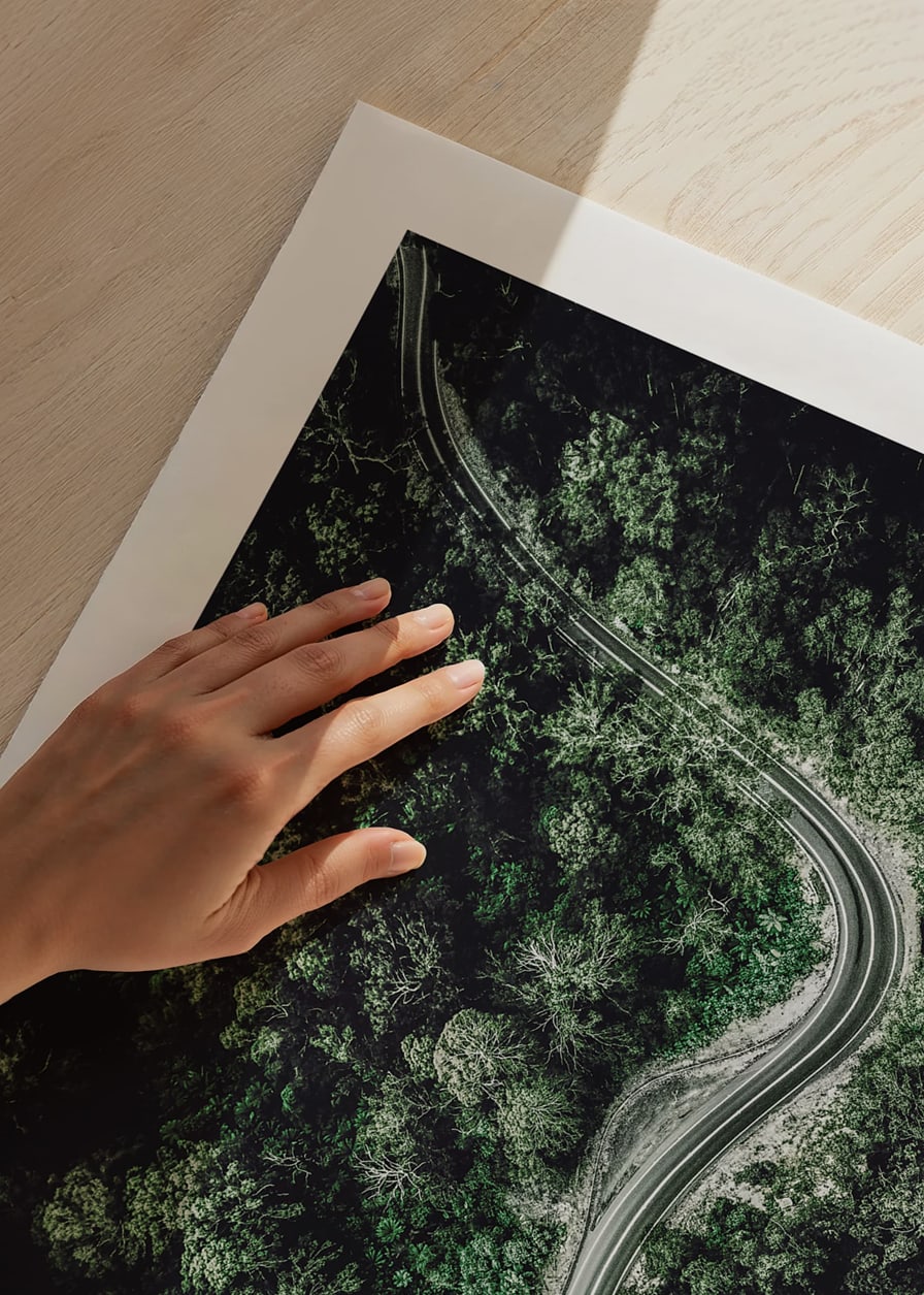 Aerial view of winding road through dense green forest, photographic-12