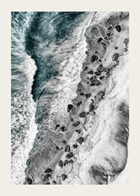 Bird's eye view of rocky beach with turquoise sea water-3