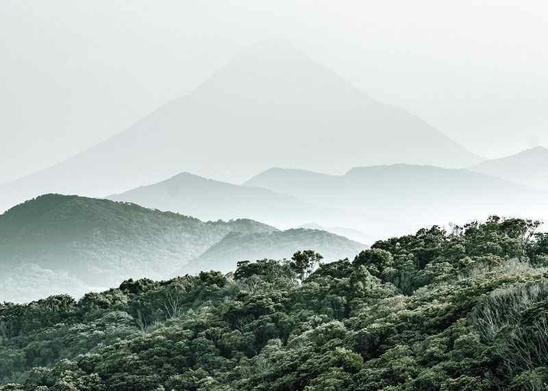 Mist-shrouded mountains and dense forest in soft green tones-12