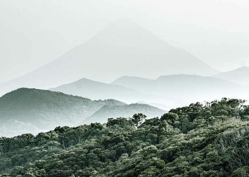 Mountain Forest-12