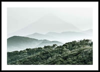 Mountain Forest-0