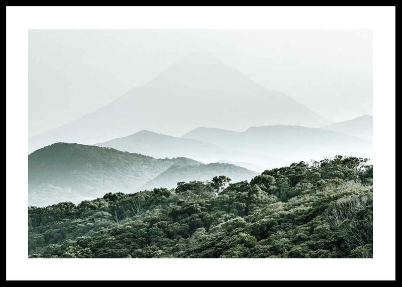 Mountain Forest-12