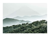 Mist-shrouded mountains and dense forest in soft green tones-1