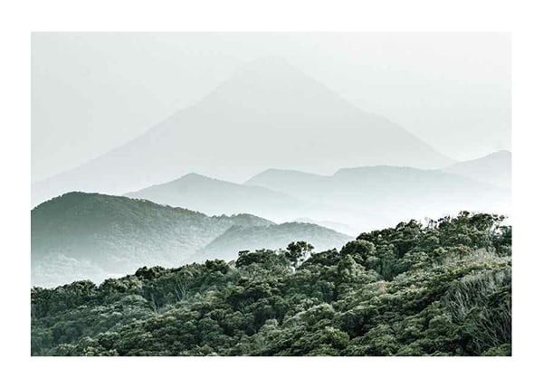 Poster Mountain Forest