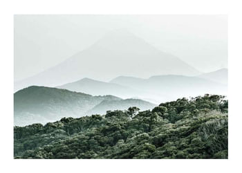 Affiche Mountain Forest