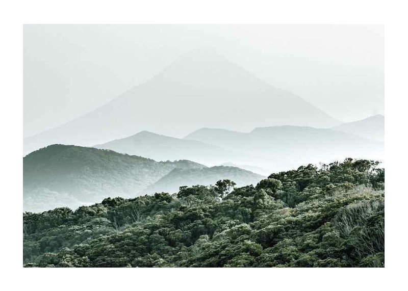 Mountain Forest-12
