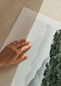 Mist-shrouded mountains and dense forest in soft green tones-9