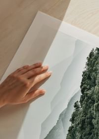 Mountain Forest-5