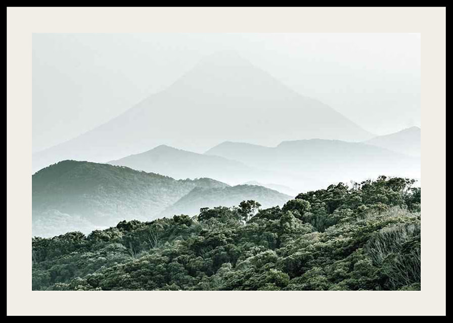 Mist-shrouded mountains and dense forest in soft green tones-12