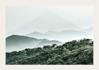 Mist-shrouded mountains and dense forest in soft green tones-3
