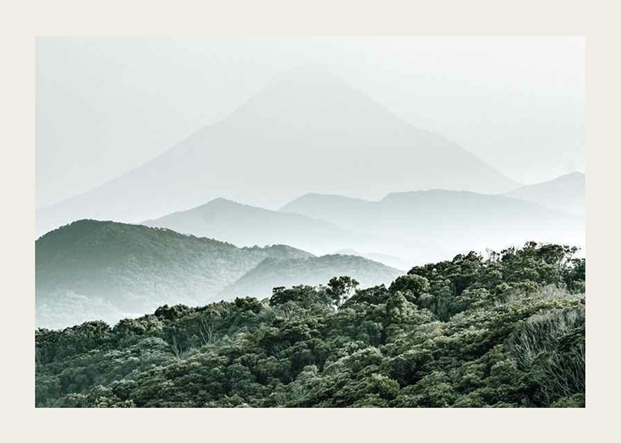 Mist-shrouded mountains and dense forest in soft green tones-12