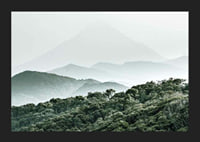Mist-shrouded mountains and dense forest in soft green tones-5