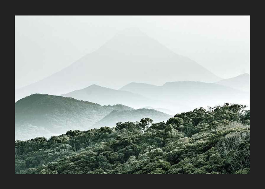 Mist-shrouded mountains and dense forest in soft green tones-12