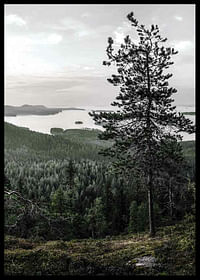 Lieksa-2
