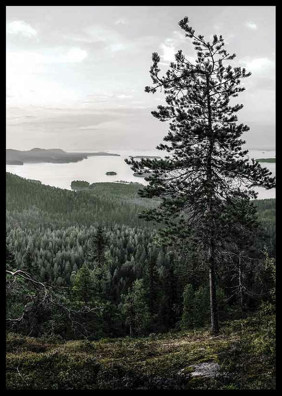 Lieksa-12