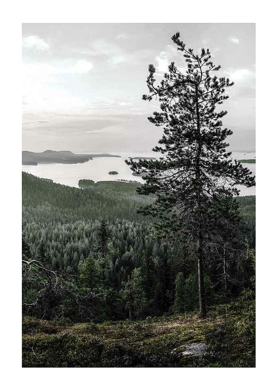 Poster Lieksa