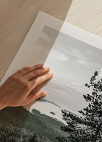 Fotografiskt landskap med tall, sjö och skog i Lieksa-9