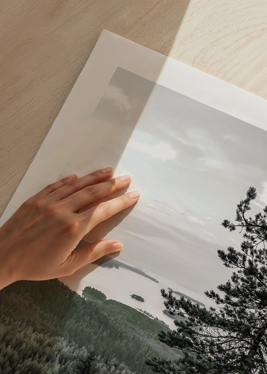 Fotografiskt landskap med tall, sjö och skog i Lieksa-12