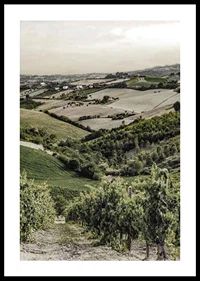Photograph of rolling vineyards and farmland in Gironde-0