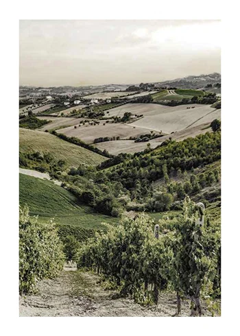 Poster Gironde