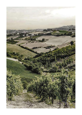 Poster Gironde