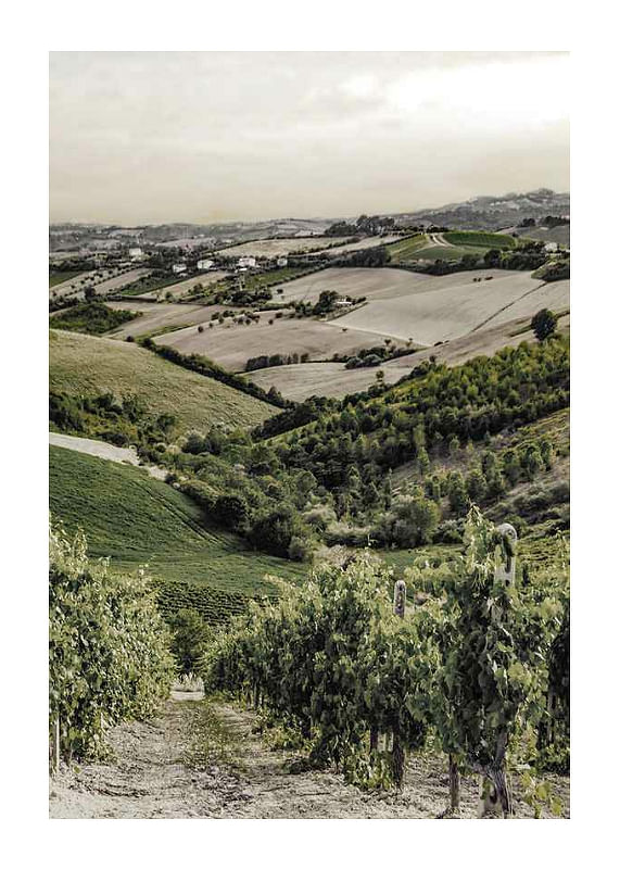 Plagát Gironde