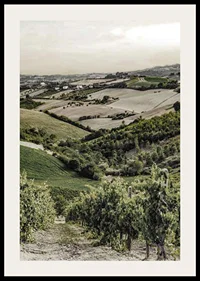 Photograph of rolling vineyards and farmland in Gironde-2