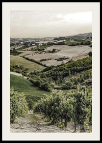 Foto von sanften Weinbergen und Ackerland in der Gironde-2